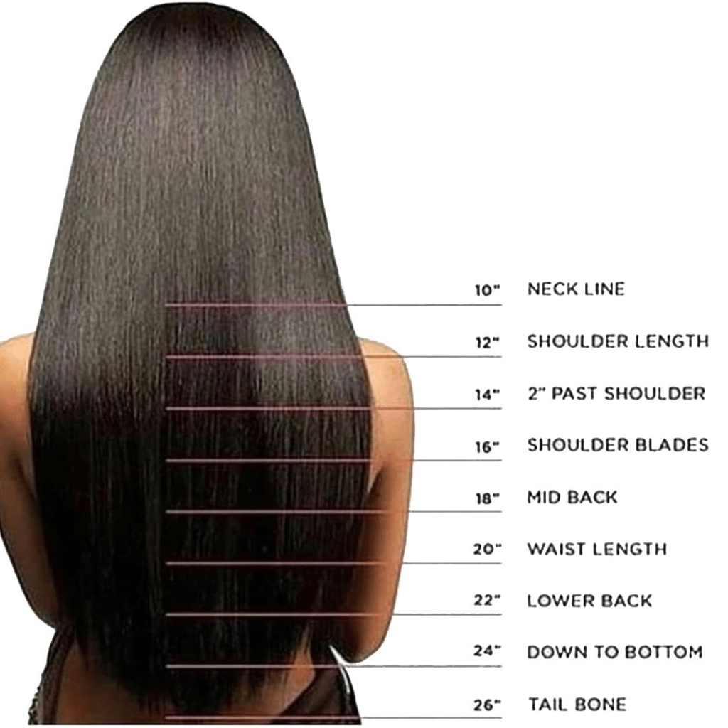 Real human straight hair length chart with 10 inch to 26 inch anatomical milestone lines